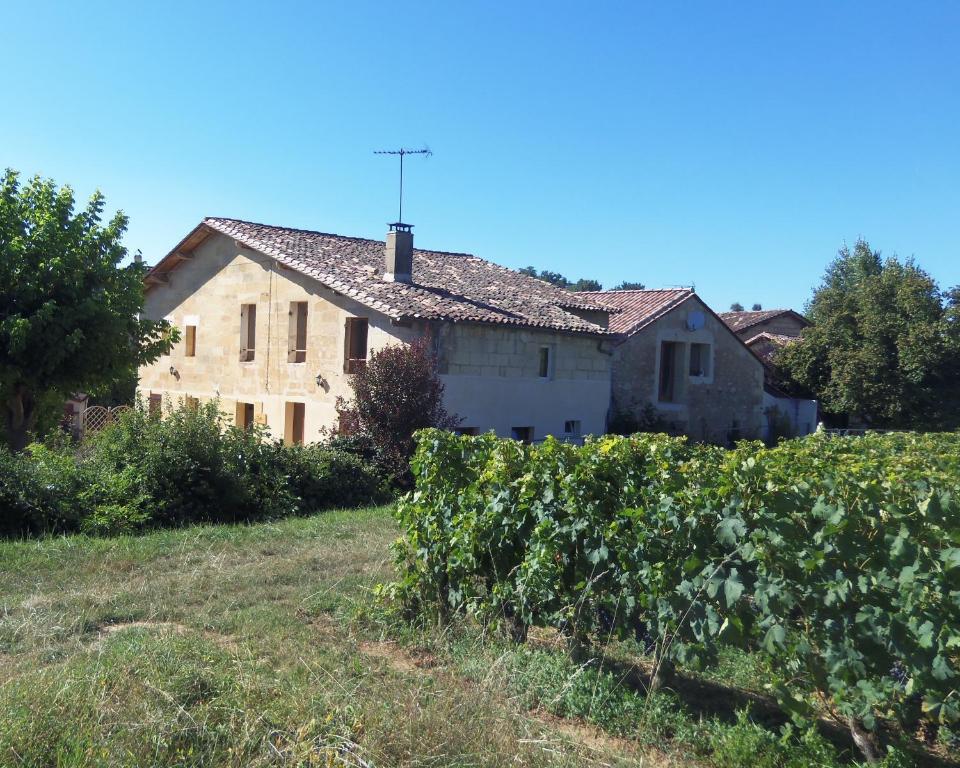 La Petite Madeleine Castillon-la-Bataille Exterior foto